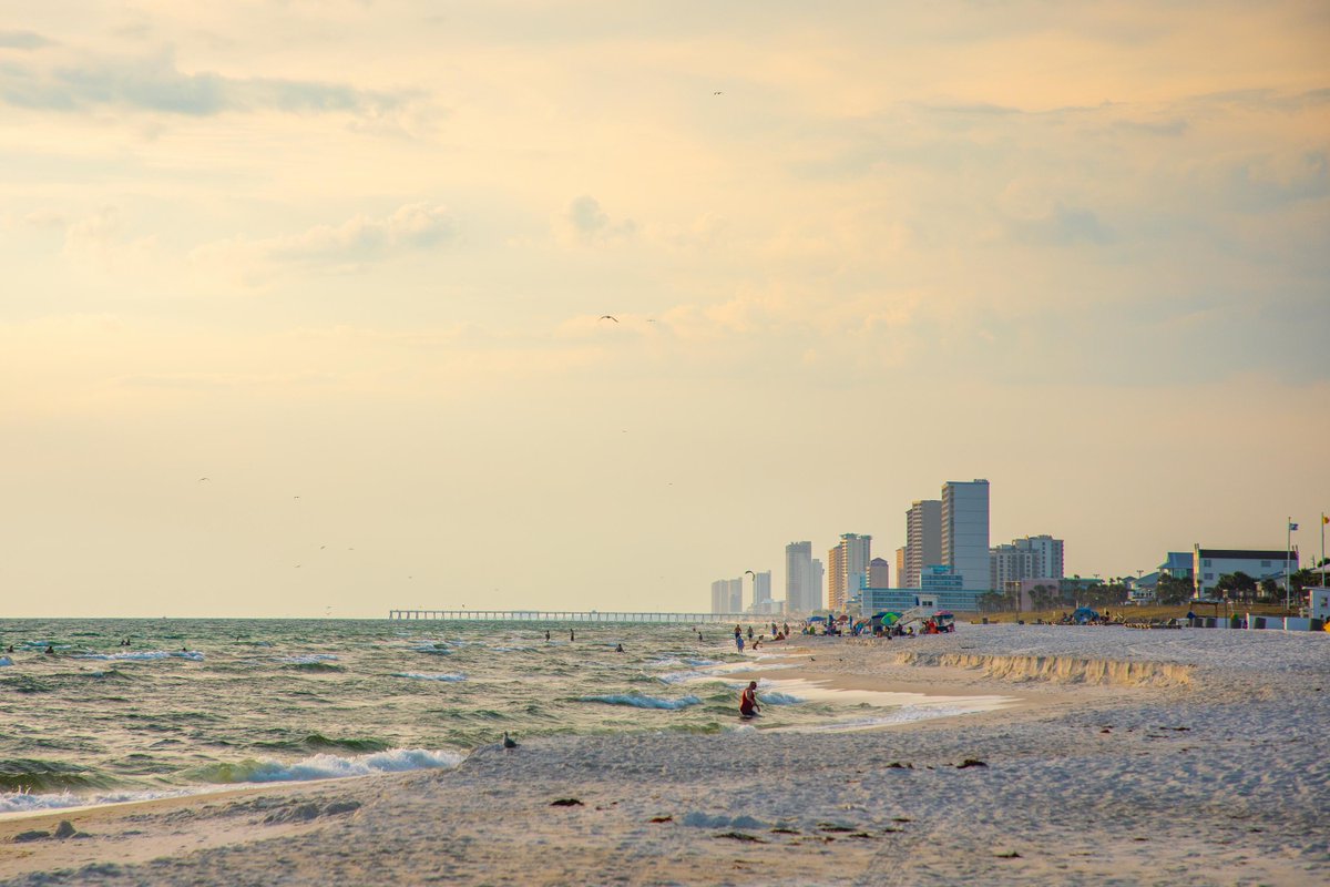 We enjoy long walks on #PCB, we think you will too! 😉