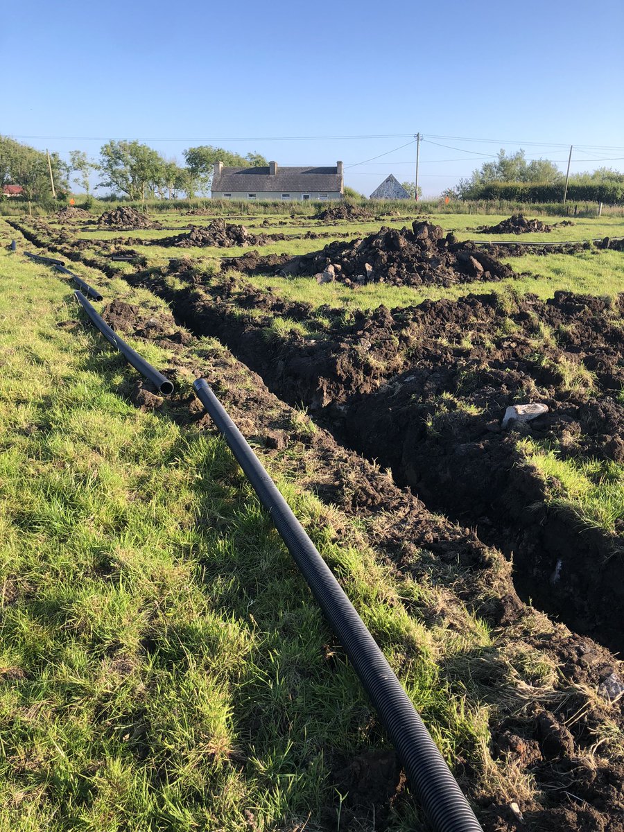 Conor Whelan tweet media