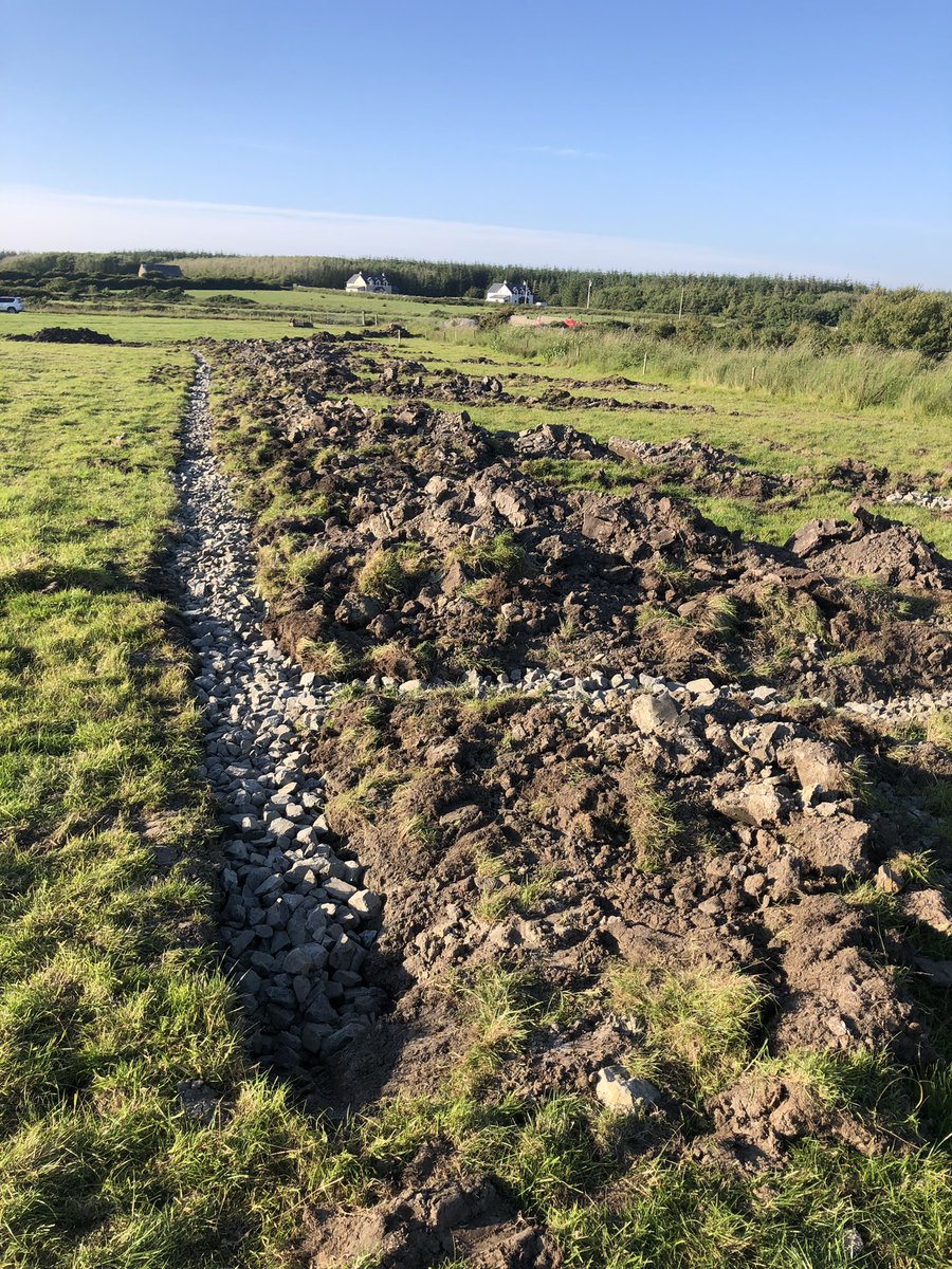 Conor Whelan tweet media