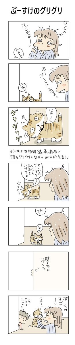 ぷーすけのグリグリ
#こんなん描いてます
#自作マンガ #漫画 #猫まんが 
#4コママンガ #NEKO3 