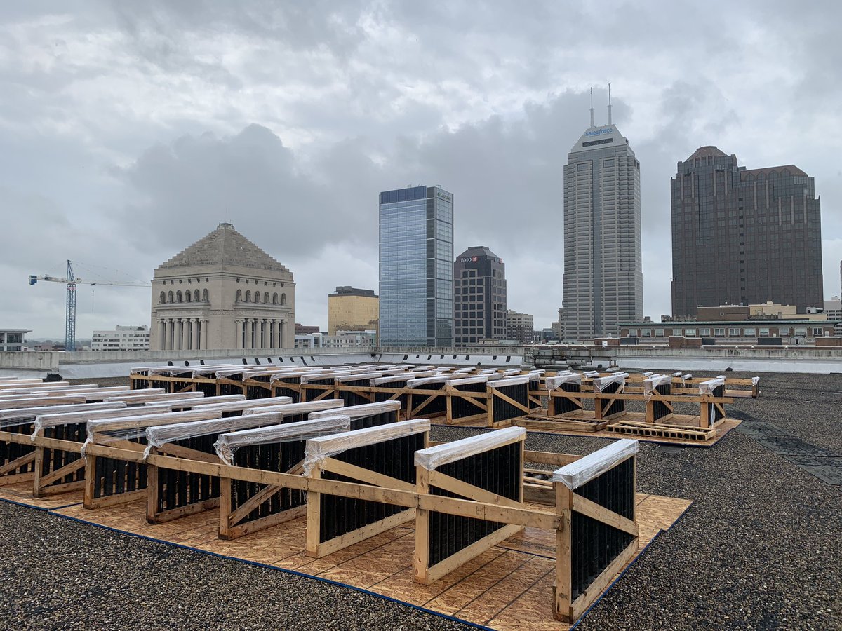 Mary Milz tweet media