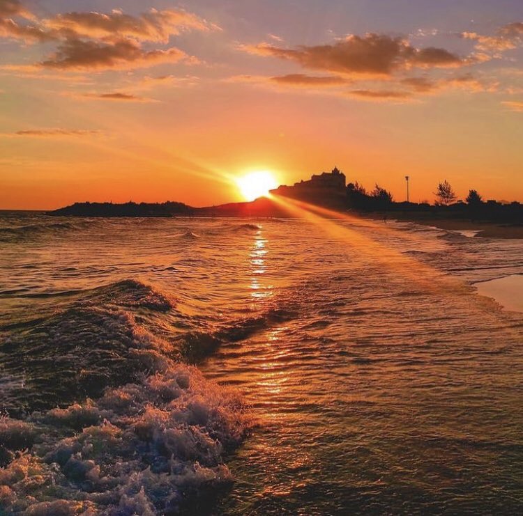 lugar de ser feliz e amar… tweet media