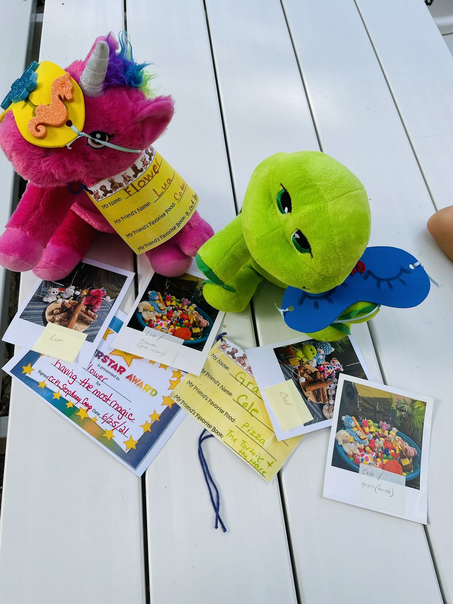 Lmdemayzing's tweet photo. @ChasCoLibrary Flower and Grass loved the stuffed animal sleepover last week! Their owners are glad to have them back home and thrilled with their pics and awards! Thank you!!! #love #charlestonlibrary #charleston #unicorn #camp #librarycamp #turtle #fun https://t.co/lDkCRGGVPR