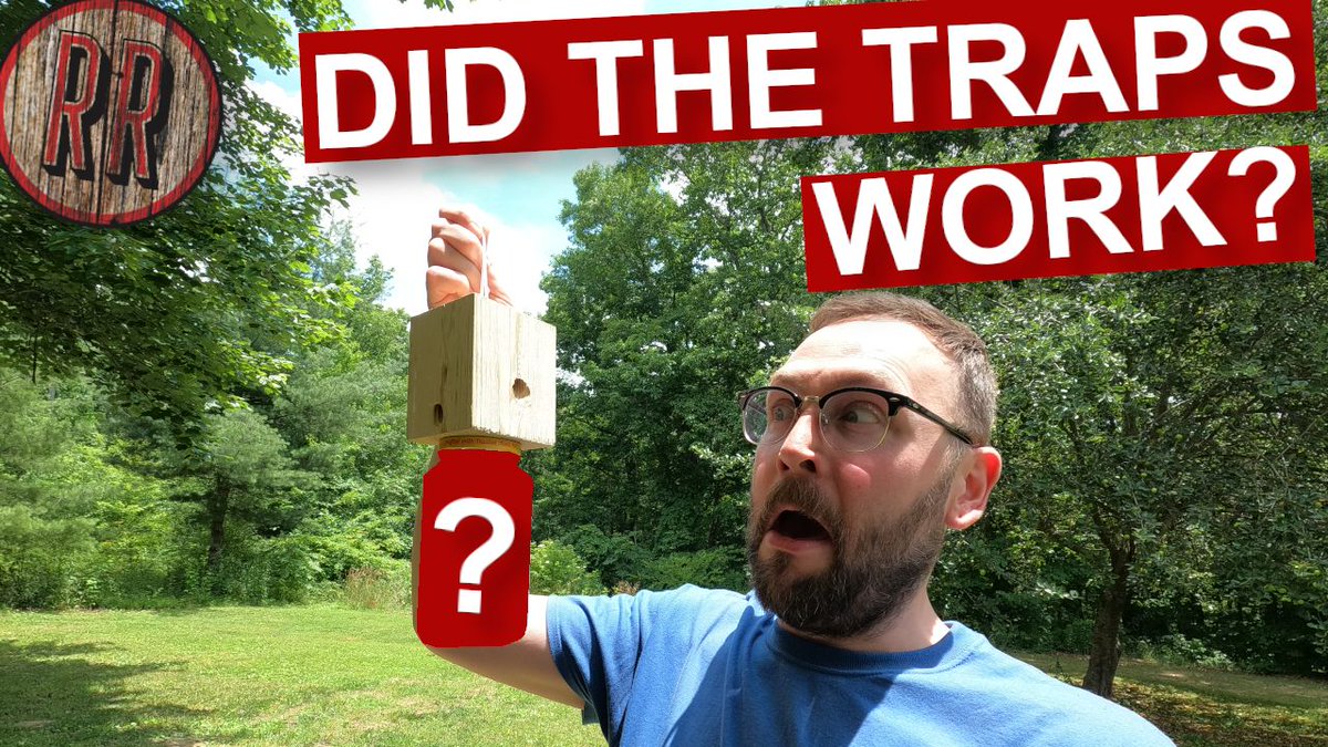New video dropped today, update on our battle with the carpenter bees: buff.ly/3xVnbzQ #youtube #vlog #carpenterbees #notthebees #bees #homesteading #tennessee