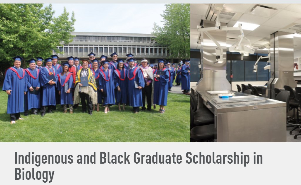 EdiSfu's tweet image. We are announcing the launch of a grassroots fundraising campaign for a scholarship to support Indigenous &amp;amp; Black grad students in @SFUBioSci @SFUScience @SFU!

Please join us in reaching a $30,000 endowment to benefit students for years to come!
give.sfu.ca/ways-to-give/f…