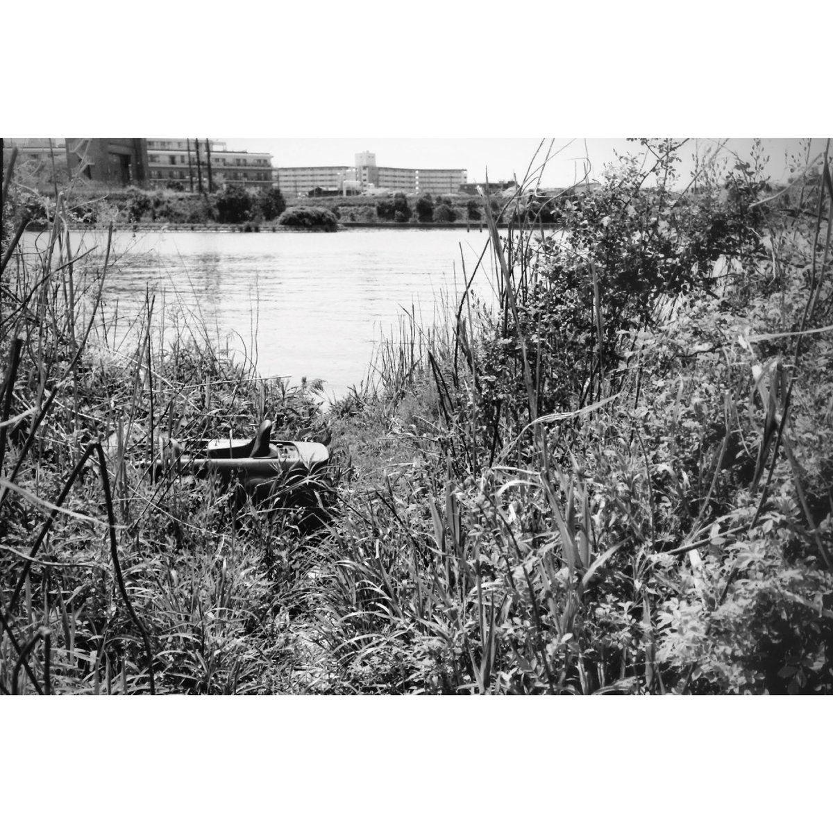 Junko Sakamoto 坂本 純子 Lenfant Twitter