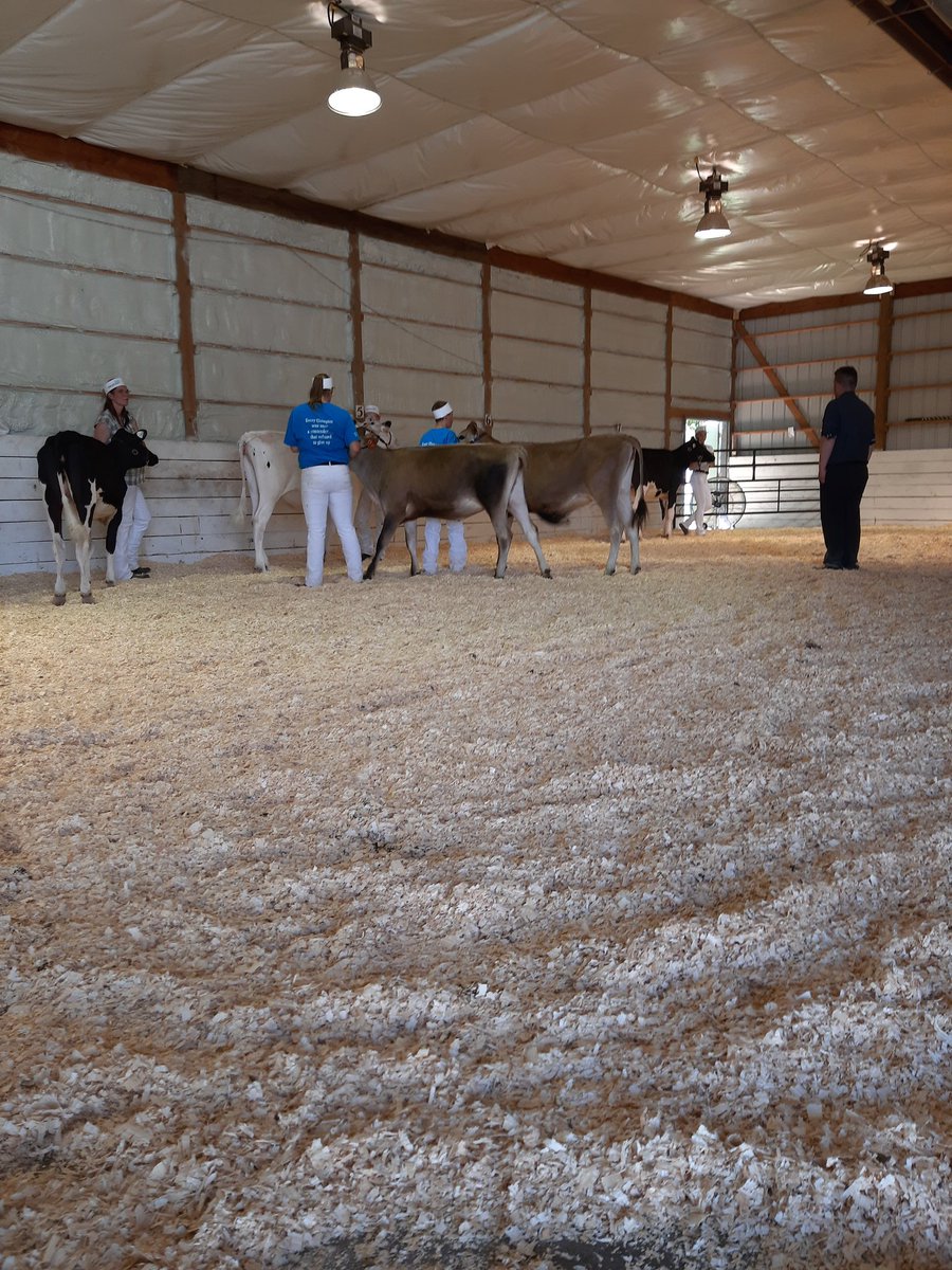 4-H day and open show day, great to see smiling faces and see the hard work pay-off. And fun for me to help Marshall!! Thanks Udderly Unique and CAHC! #WestGen