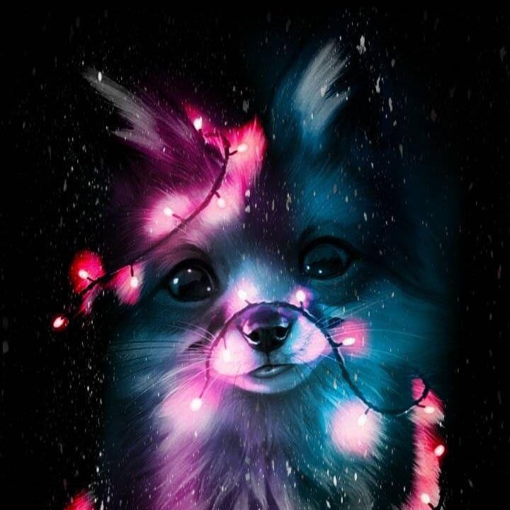 Come hangout with me on #BIGOLIVE https://t.co/7LCvzLB3Ql https://t.co/P24icZPWve