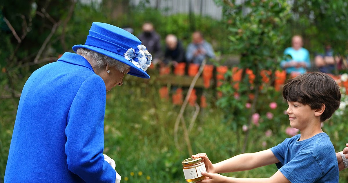 Ormskirk Beekeepers: Queen Elizabeth Joins the Hive! dlvr.it/S2pK0S