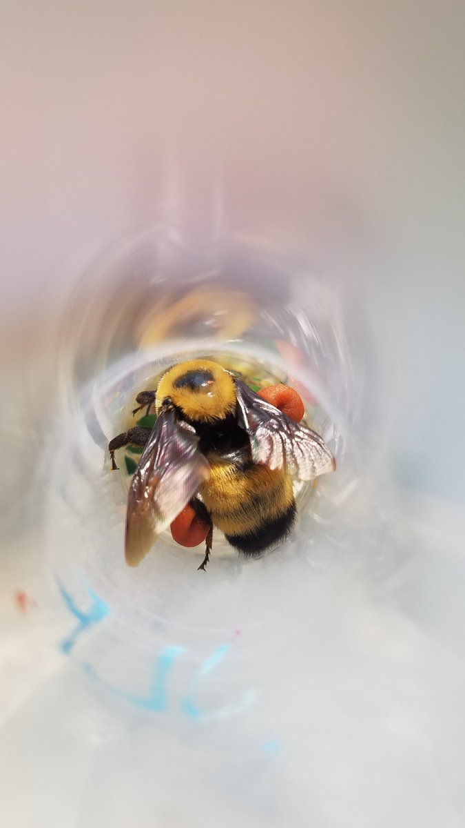 Jacquelyn Fitzgerald tweet media