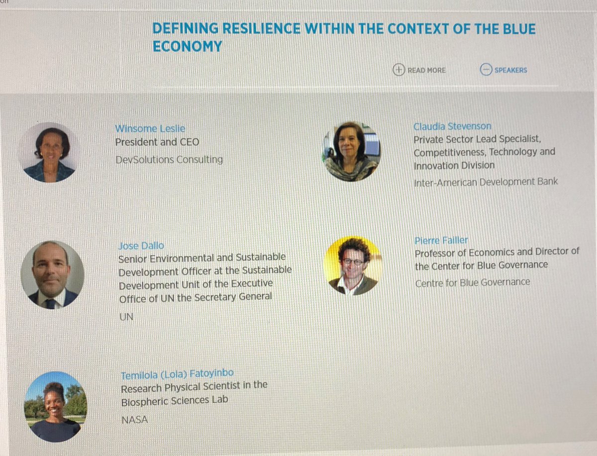 Extremely useful and timely discussion on #resilience  and #BlueEconomy going into #COP26 <a href="/the_IDB/">Inter-American Development Bank</a> #OneRegion climate summit. <a href="/WinsomeL1/">Winsome Leslie</a> <a href="/jdohertybigara/">Jennifer Doherty-Bigara</a> @BIDCambioClima