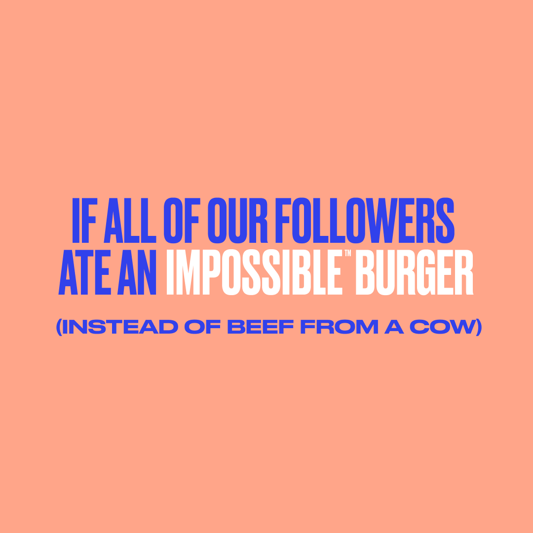 ImpossibleFoods's tweet photo. Putting Impossible™ Burger on your plate adds up on the runway. #CookImpossible 📸 backyardalehouse, thiswifecooks https://t.co/QdYYapQibZ