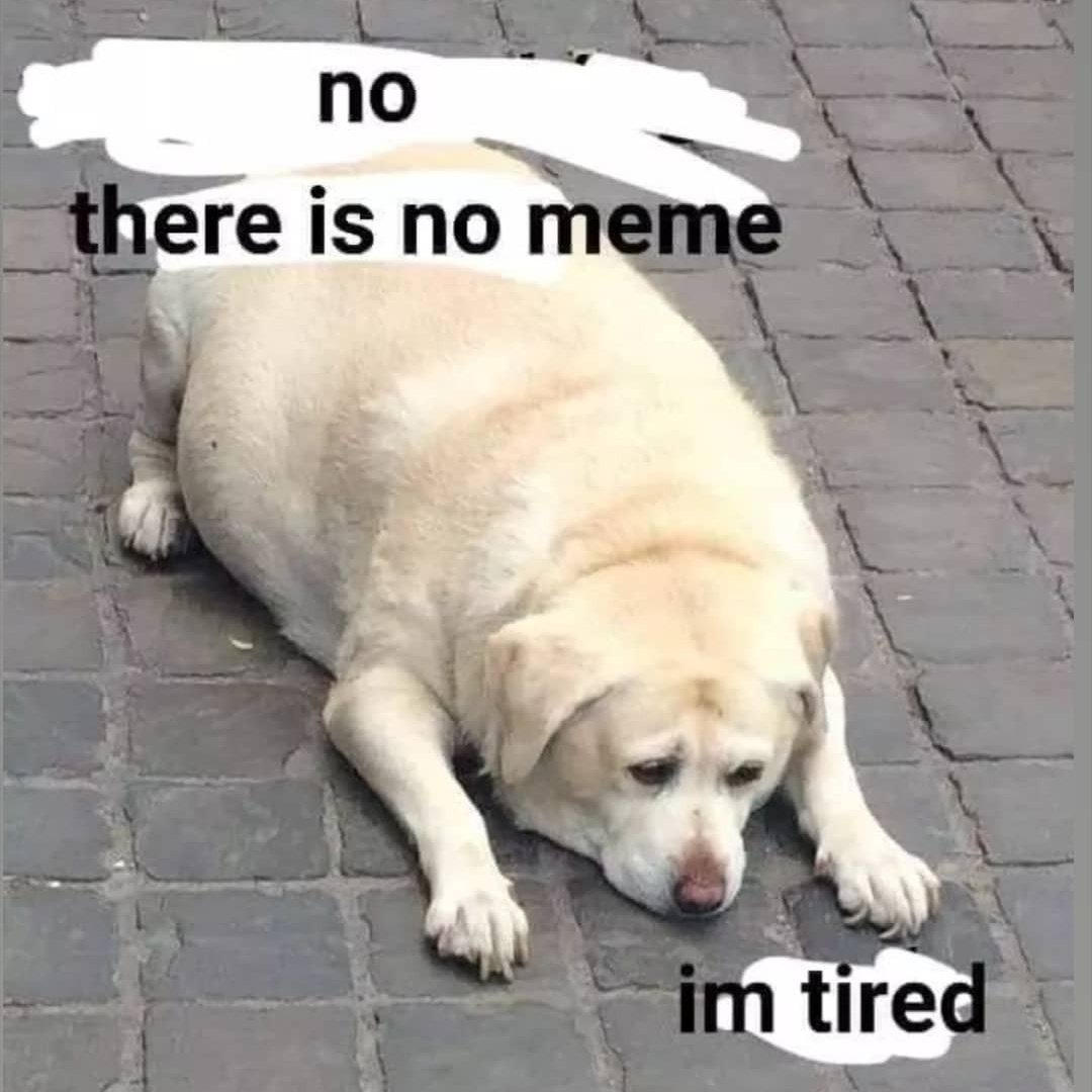 RainighT (@rainigh_t) on Twitter photo 