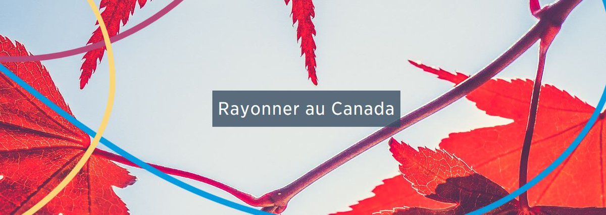 Capture d'écran de la page d'accueil du programme Rayonner au Canada du Conseil des arts du Canada. 