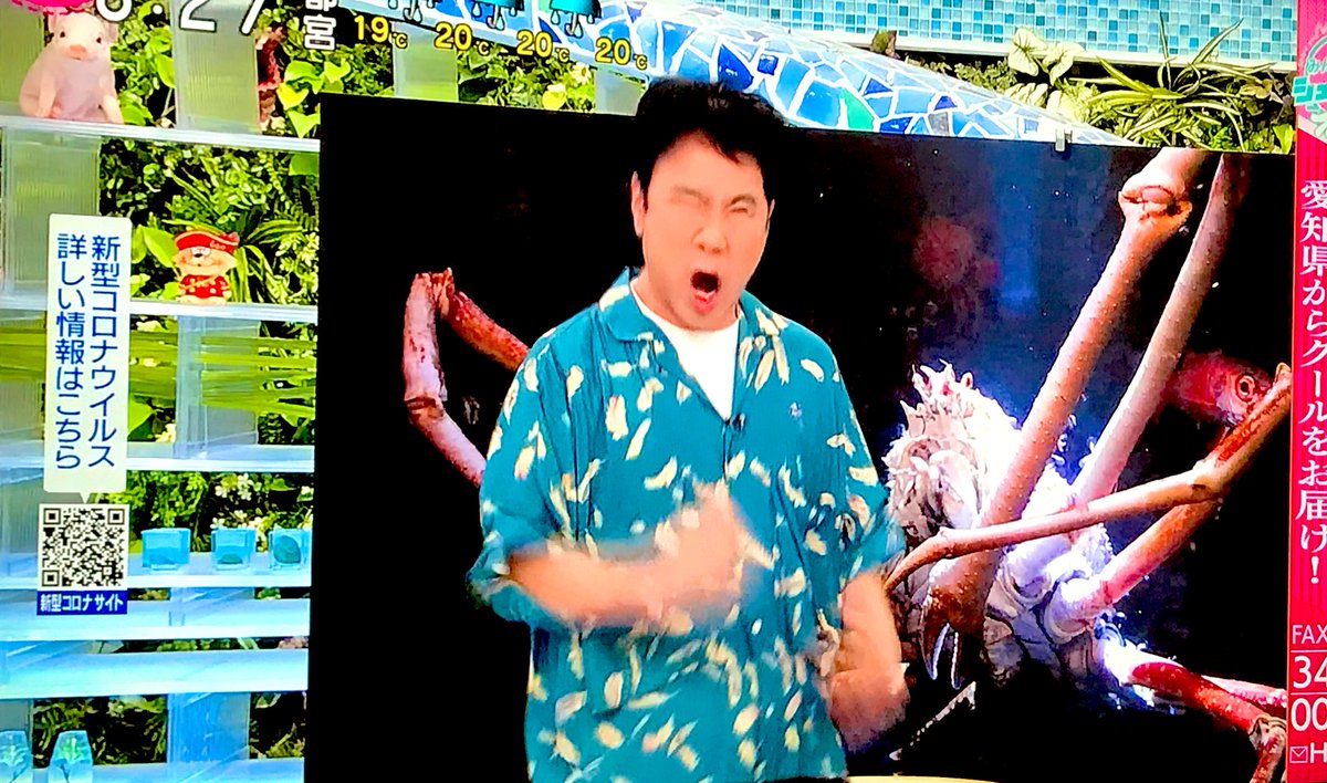 あさイチで ホットホット が話題に トレンドアットtv