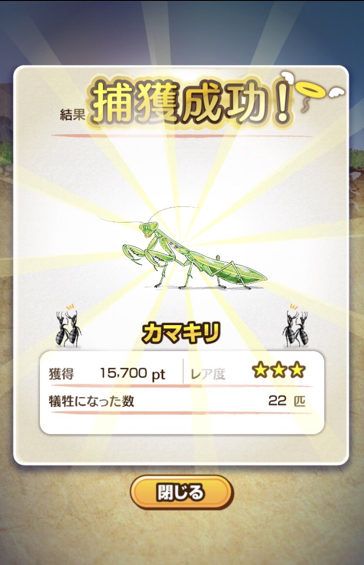 アリの巣コロニー