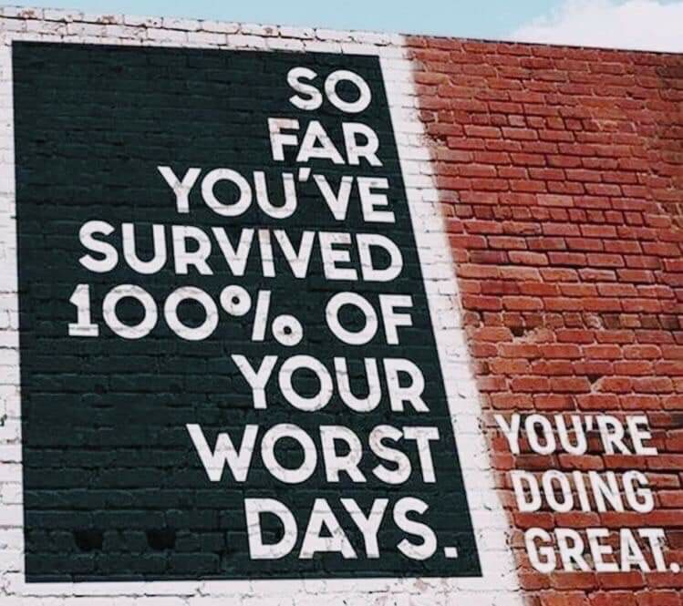 WholesomeMemes tweet media