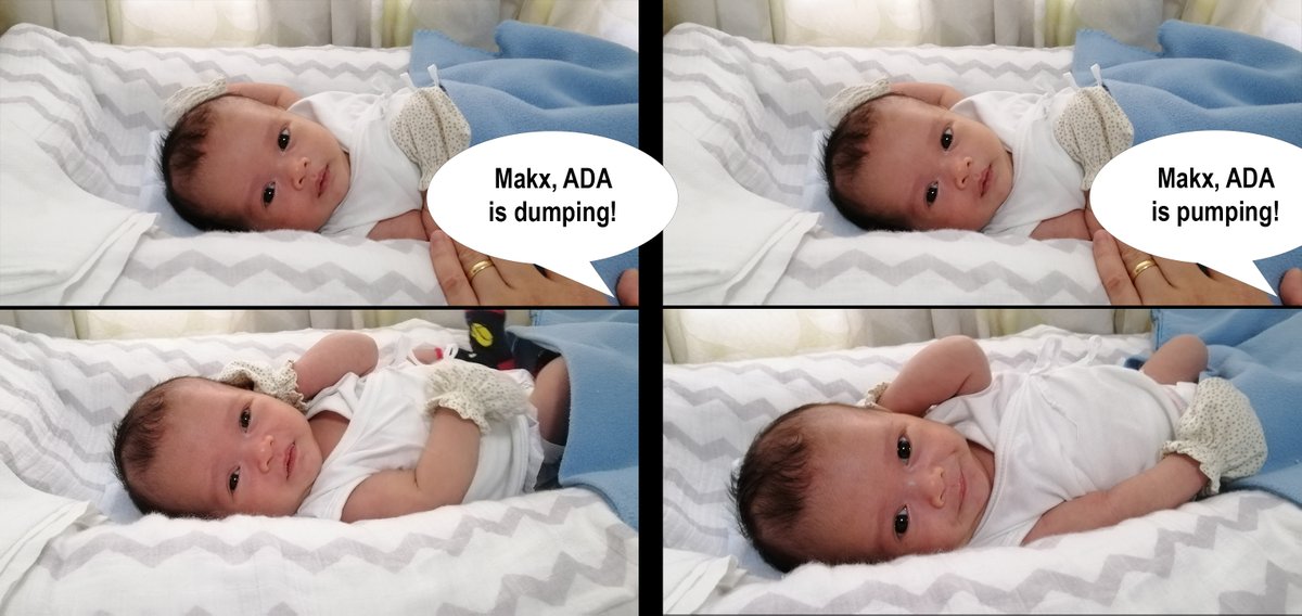 PHRCKpool's tweet photo. Trying to teach our 3-week old how to monitor our nodes. He doesn't like it! ...yet.
He's more interested in the price action of $ADA! 😄
#StartEmYoung #JustKeepStaking #PHRCK https://t.co/dSCfT6YzYi