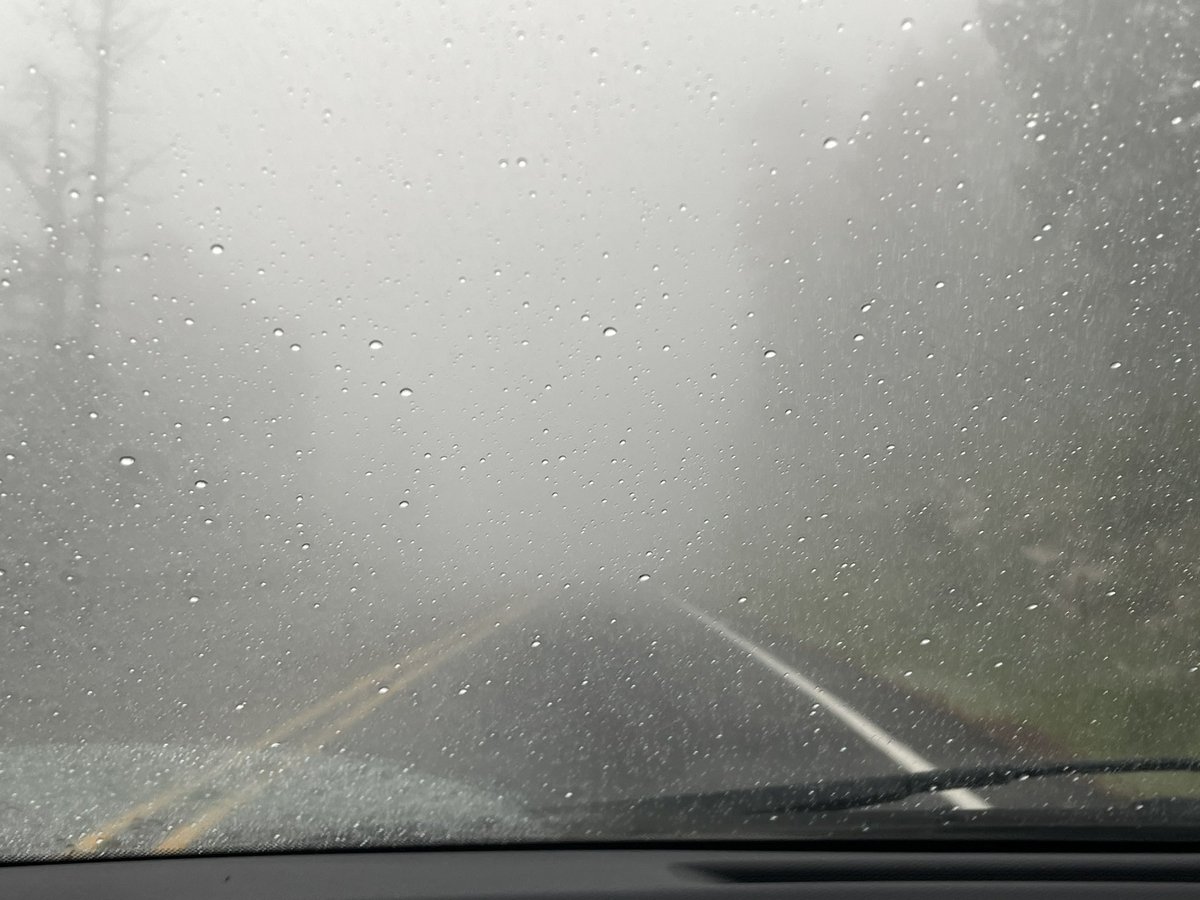 Took a nice, foggy drive the other day. Was relaxing.