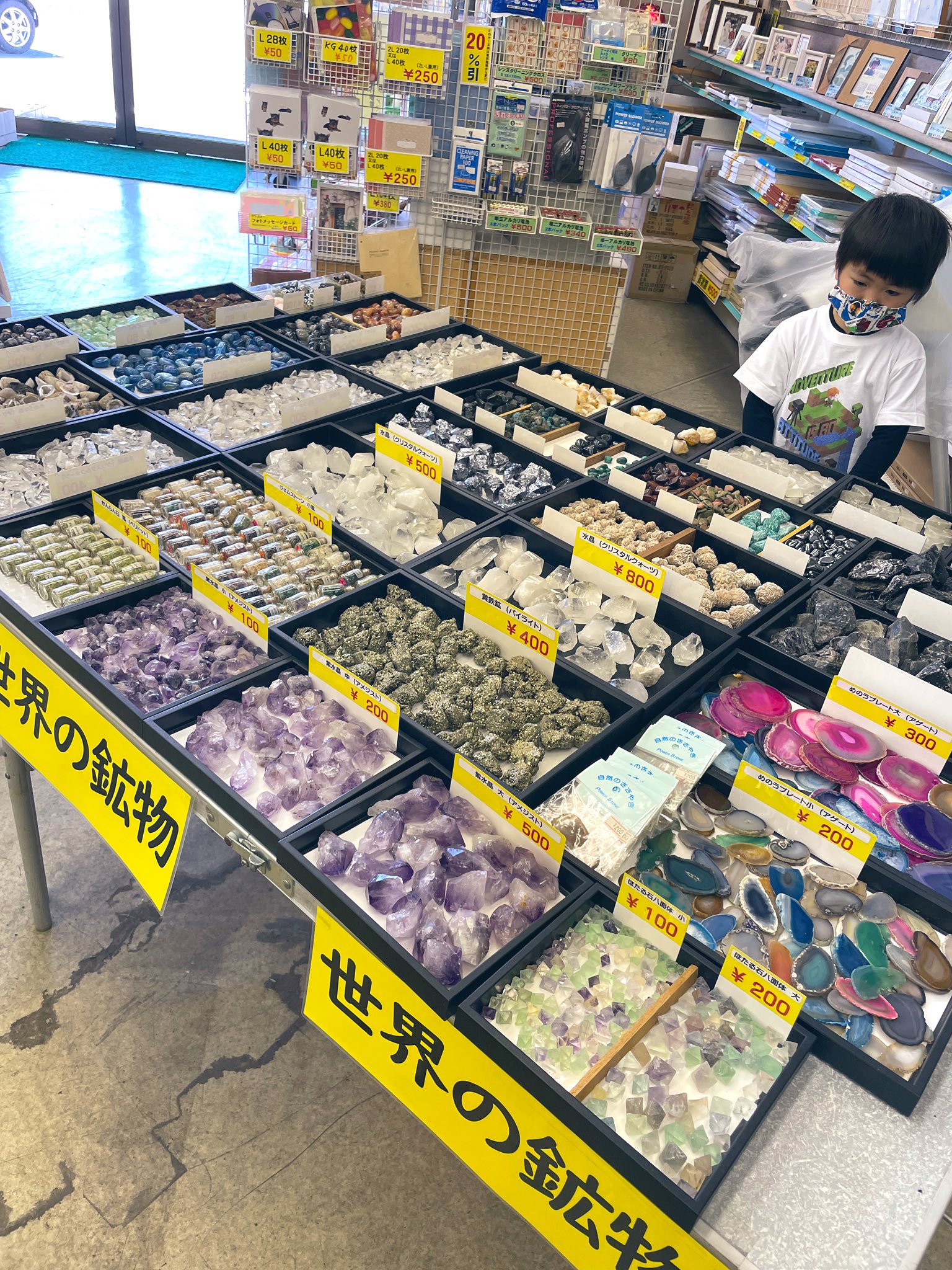 難波りょう 声の仕事 あれ Twitterには載せてなかった カメラのアラジン Aladdin Miya さんには 鉱石や 写真を撮っていない珍しい物が沢山あります 笑 私は水晶 息子も石好きなので鉱石いっぱいと三葉虫化石発掘キットを購入 7月半ばまで