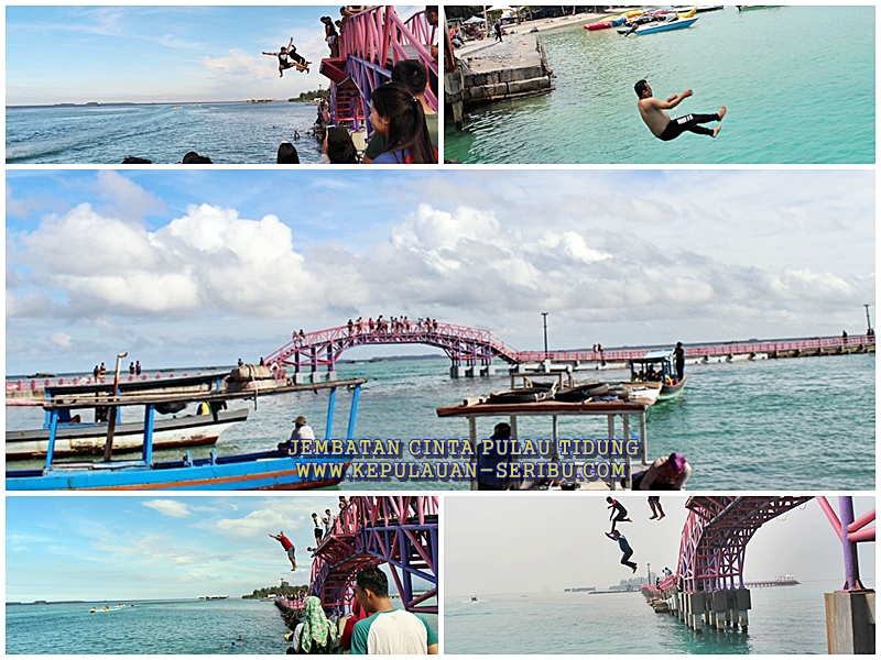 kepulauanjkt's tweet photo. #PulauTidung terdiri atas dua pulau, Tidung Besar dan Tidung Kecil dihubungkan sebuah jembatan sepajang 800 meter yang dinamai #JembatanCinta, buat yang bernyali, mereka bisa langsung #melompat ke #laut dari ketinggian sekitar 7 meter. https://t.co/FZeiTwQOHV via @pinterest https://t.co/5JlRFfqTU9