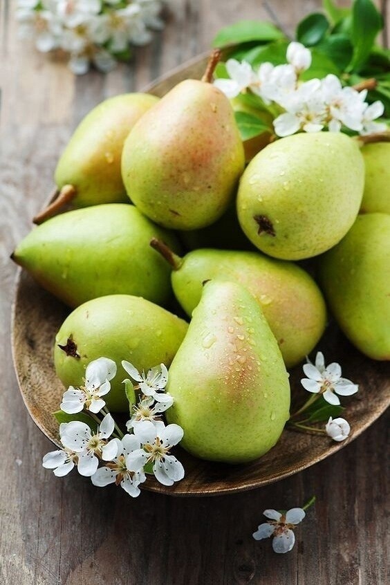 jurimaa's tweet photo. Mоя лeтняя любовь 🍓🍒 https://t.co/r3zFWpikPa