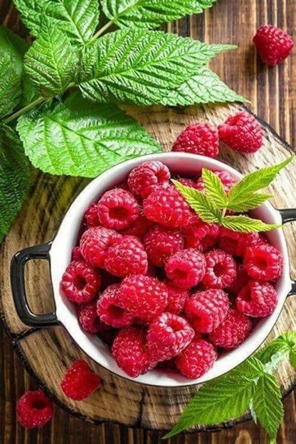jurimaa's tweet photo. Mоя лeтняя любовь 🍓🍒 https://t.co/r3zFWpikPa