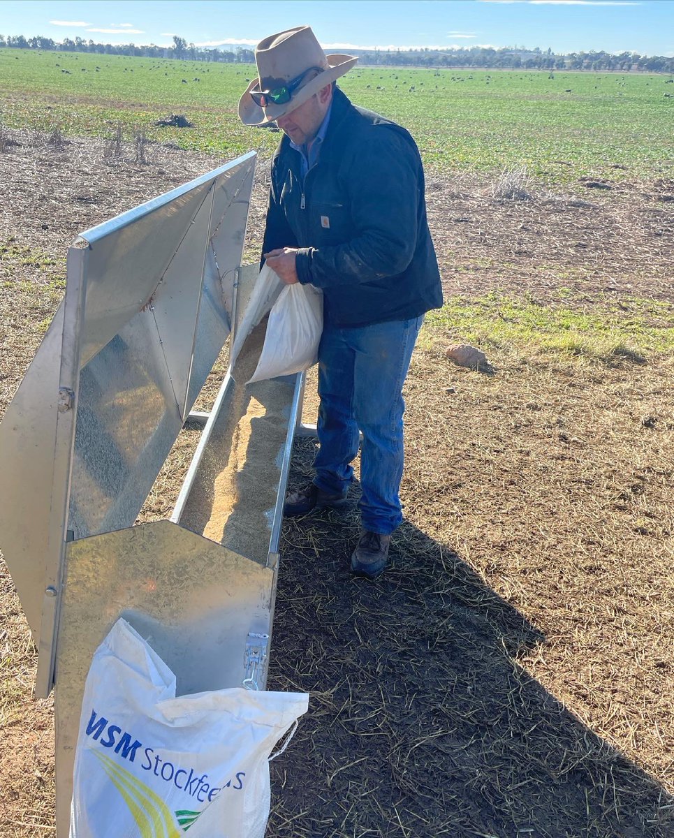 MSM Milling tweet media