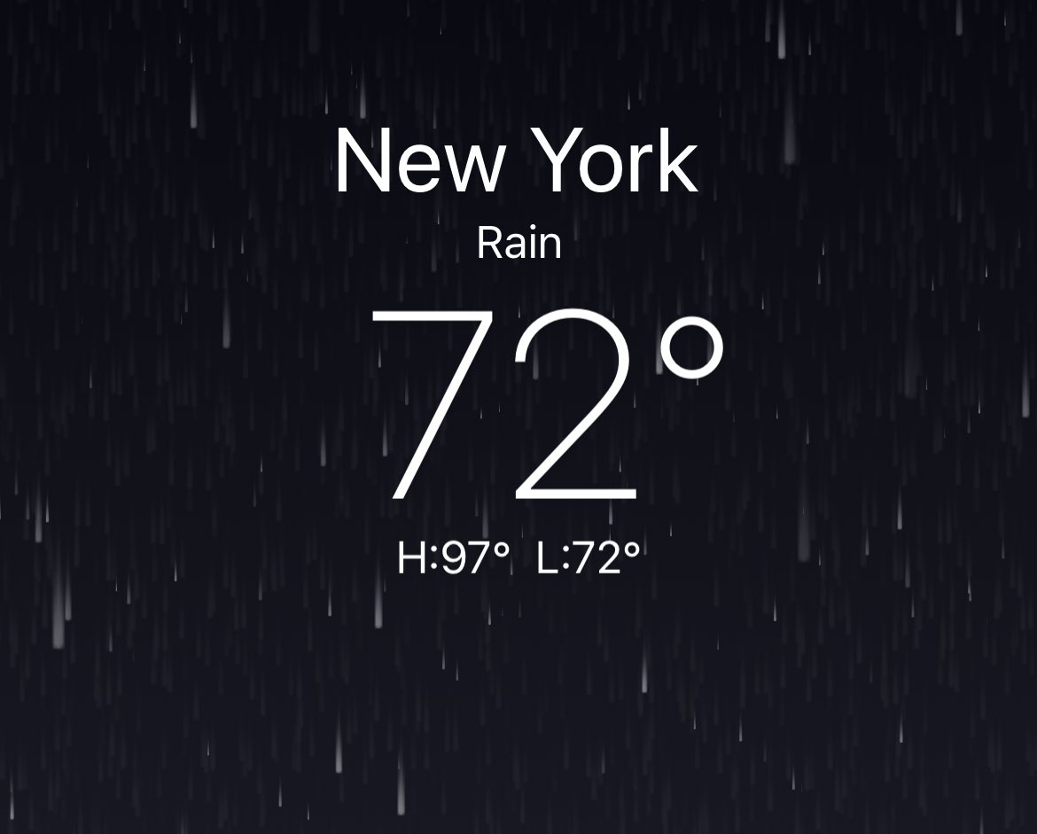 Stephi Wild tweet media