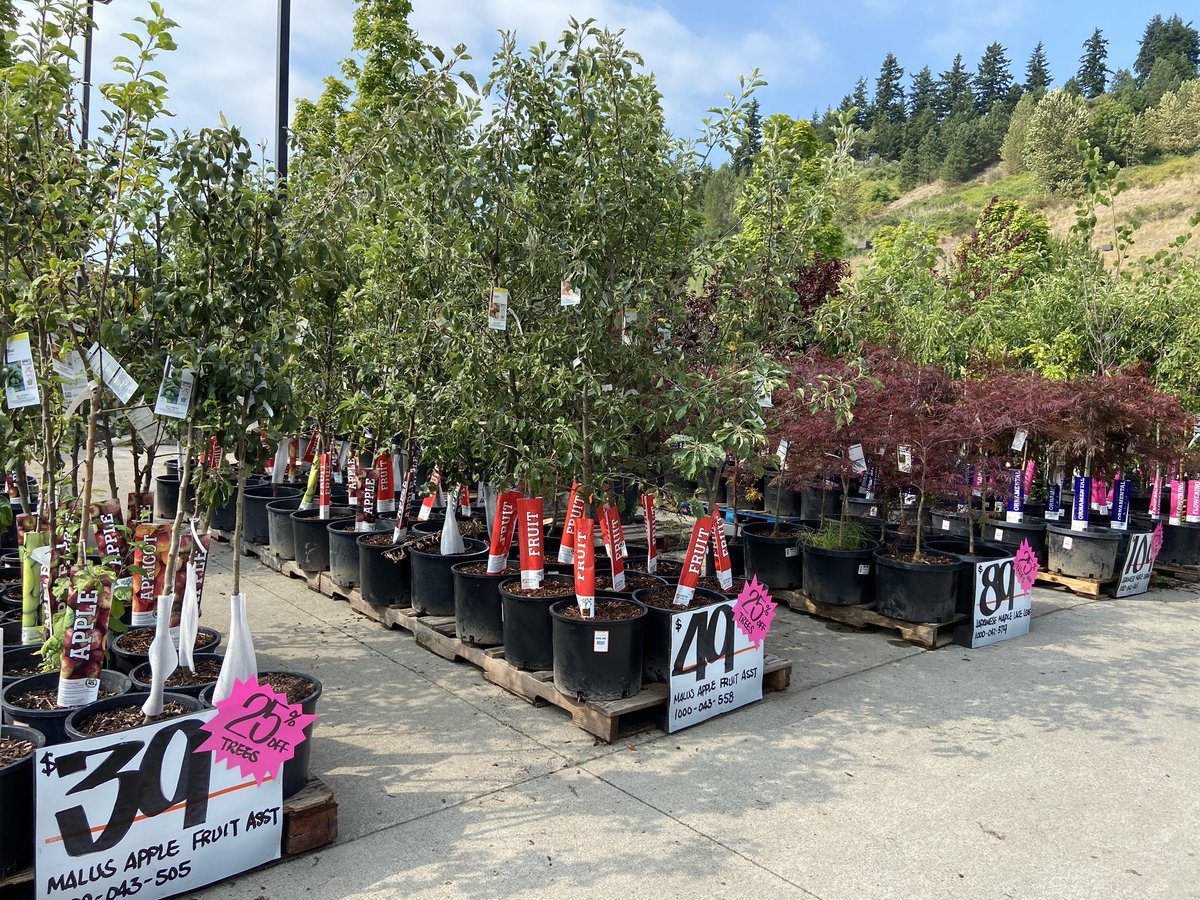 Aimee Wang tweet media