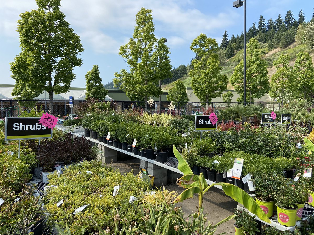 Aimee Wang tweet media