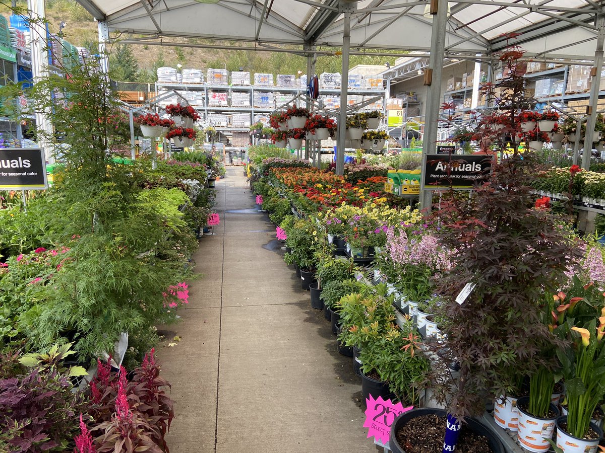 Aimee Wang tweet media