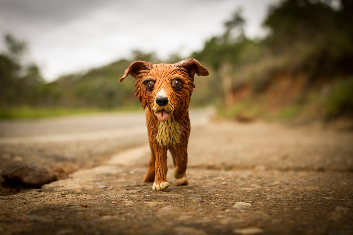 altereddie's tweet photo. No los abandones... https://t.co/Z2EthGzse2