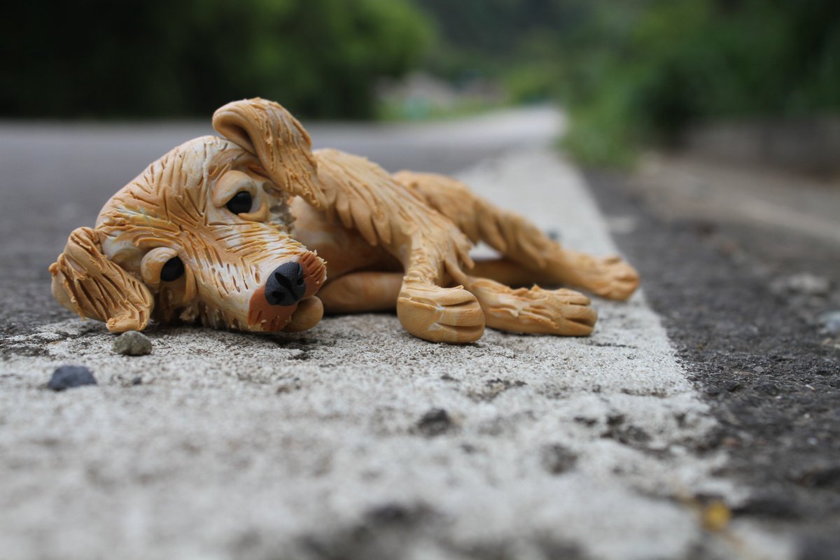 altereddie's tweet photo. No los abandones... https://t.co/Z2EthGzse2