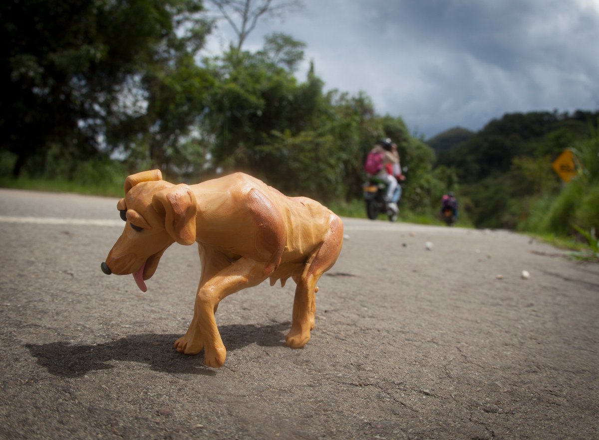 altereddie's tweet photo. No los abandones... https://t.co/Z2EthGzse2