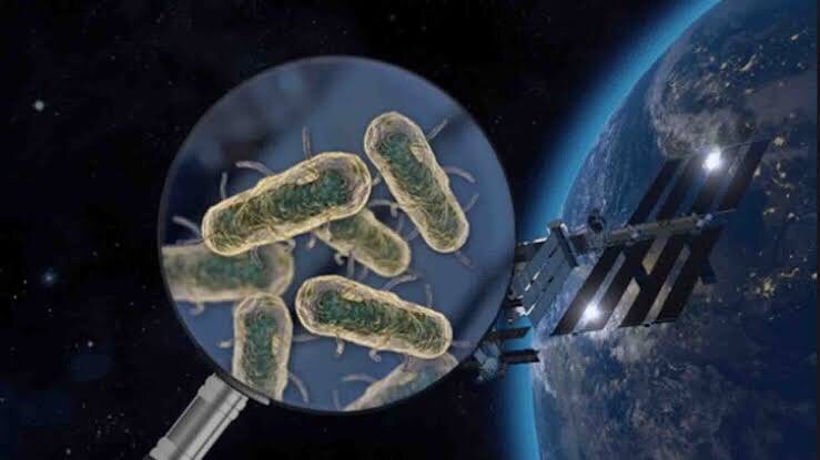 nibiruastro's tweet photo. colisión que esterilice a nuestro mundo.
La viabilidad del material biológico para desarrollarse al llegar a otro planeta depende de muchos factores. El espacio es un lugar inhóspito para la vida: las bacterias que emprendieran su viaje a bordo de una roca de origen terrestre https://t.co/YamI4ULh2C