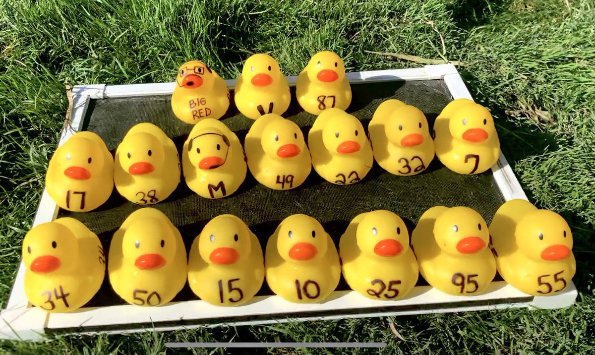 JBside13's tweet photo. I’m having an extremely Ducky 🦆Day! 😉 #DuckRaces ALL NEW RACE Saturday 7/3 https://t.co/XhfuB4hBZn