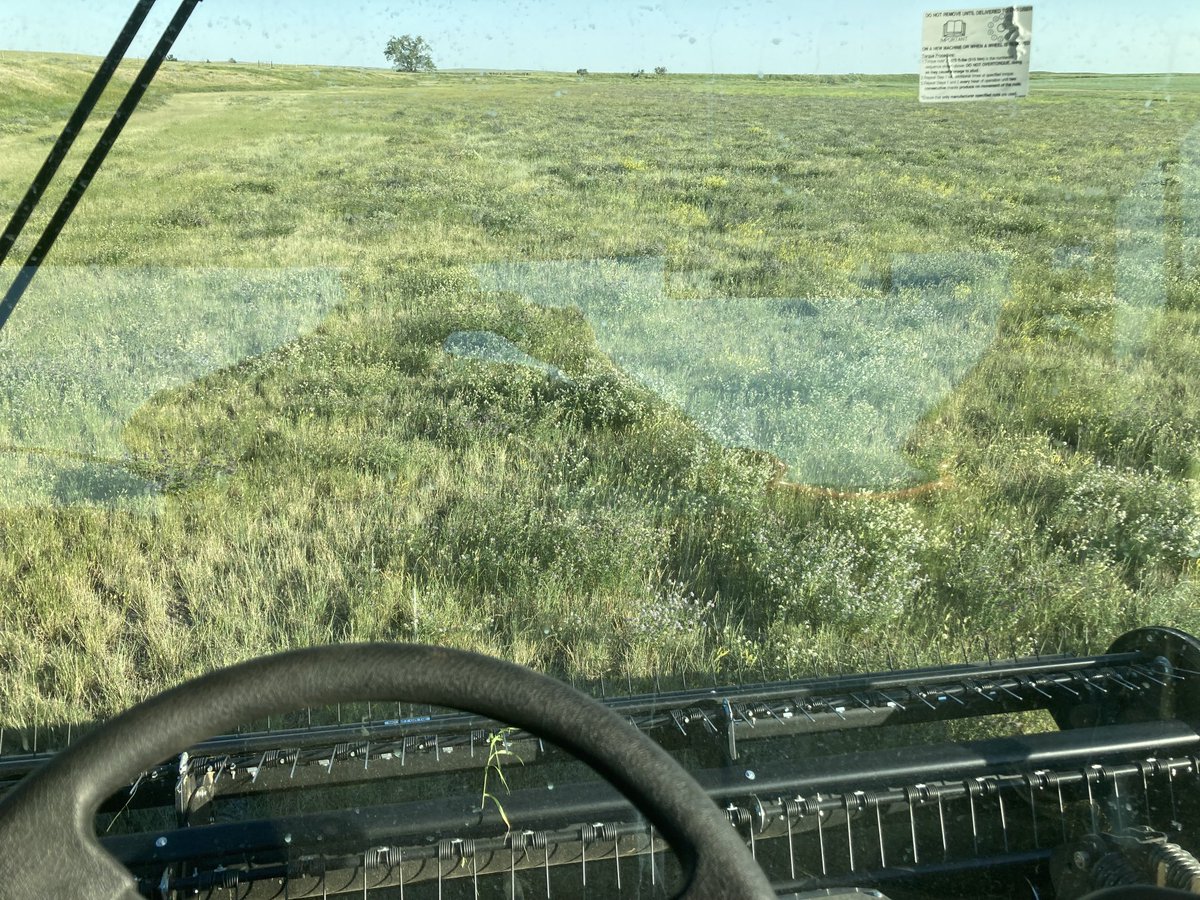 Haying 2021. Here we go