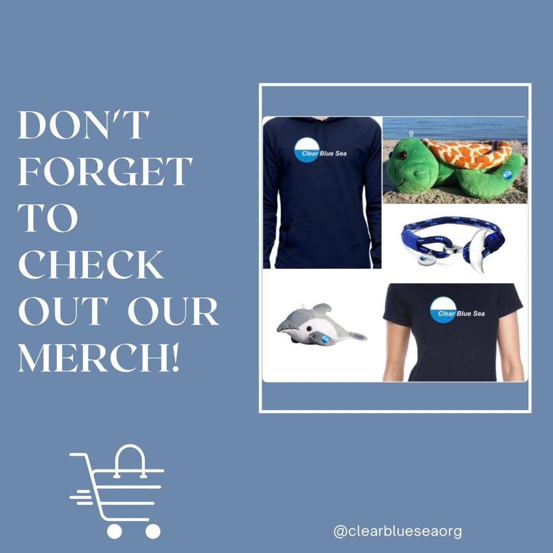Check out  shopclearbluesea.org  to grab some cool merch! Our CBSea bracelet is made from special recycled plastic, along with our sea turtle and dolphin shorebuddies!

#ClearBlueSea #reuse #green #environment #ecofriendly #sustainability #oceanplastics #OceanConservation