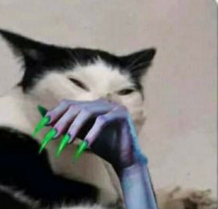 Melissa Stenassi๐๐ป tweet media