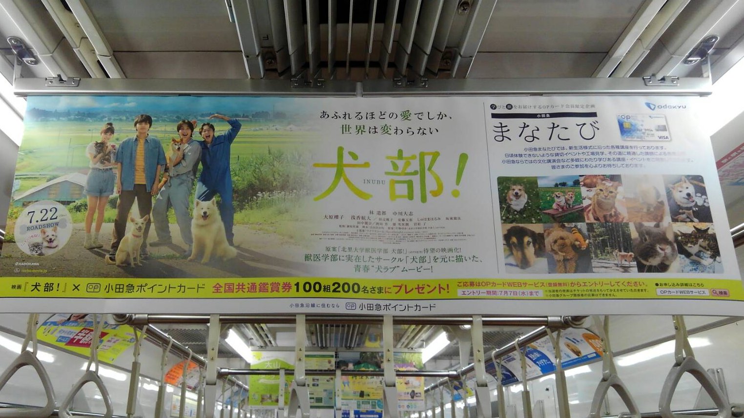 小田急まなたび 公式 昨日から1週間限定で 小田急線の全車両に 小田急 まなたび 映画犬部 コラボの中吊りポスターも掲出中 駅貼りも引き続き掲出中 犬部小田急ベストショット の投稿いただいたお写真も掲載されているので 是非ご覧くださいませ
