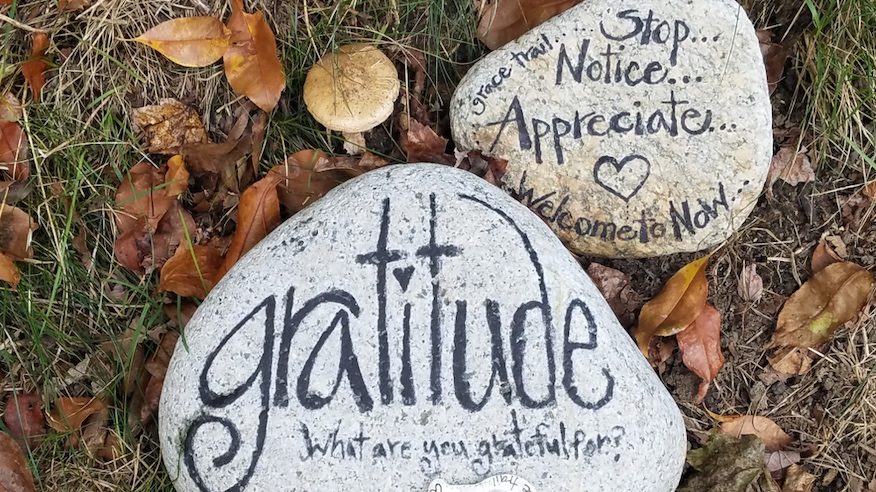 rssunner's tweet image. Practicing Gratitude With Senior Care Authority® of Fresno County! seniorcare-fresno.com/find-assisted-… #SeniorCare #Health #Senior
