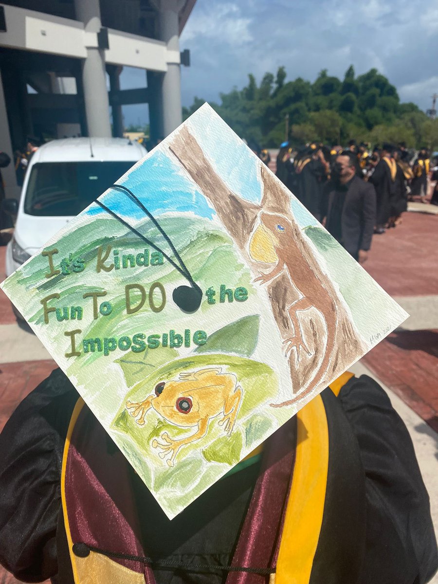 Vetdog98's tweet photo. A grad cap telling a story, my college story because those two individuals(Anole and Coqui)were a big part of my B.S degree and those different greens represent the different ecology’s that I saw through it.Thanks to @miguelacevedopr , @JonathanTBauer and
@julyr_l  for everything https://t.co/jc5DHeik2Y