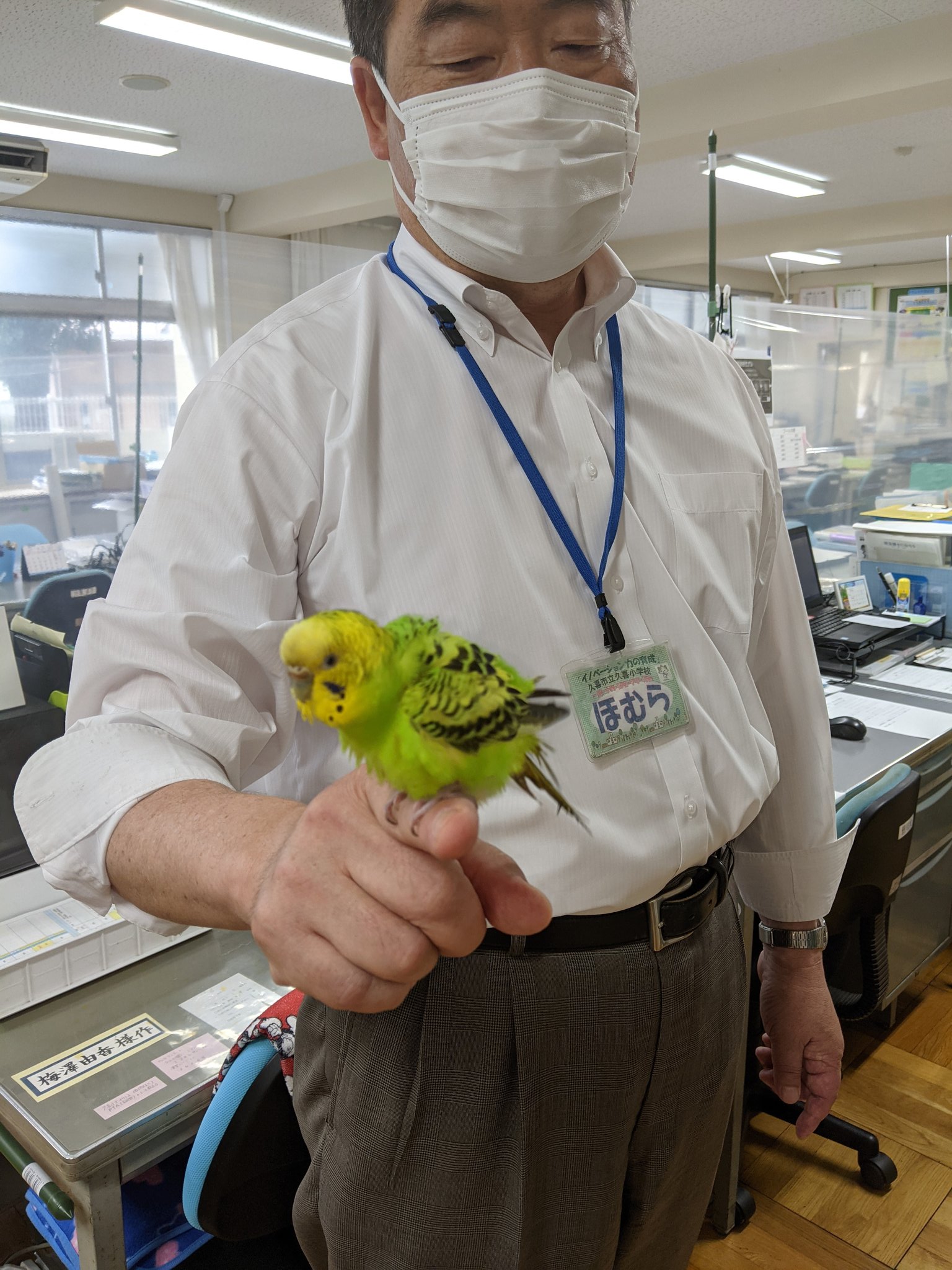 インコ迷子 Q8arbhi9mgge3cf Twitter