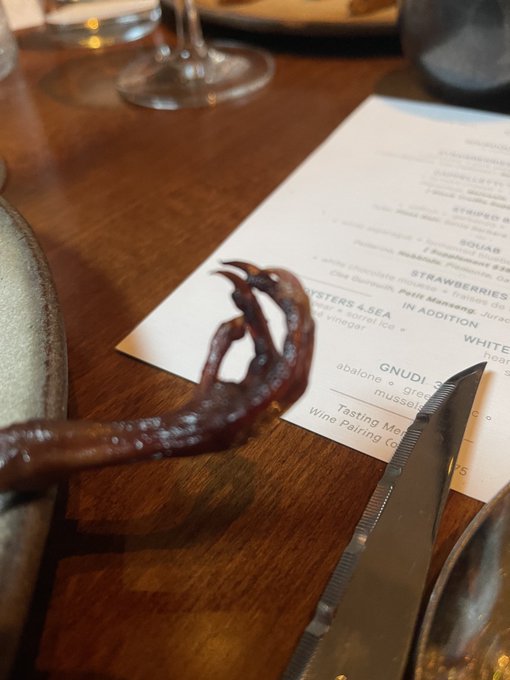 Yes! Restaurants are back in SF ##SquabFoot https://t.co/CNXs3GvsQb<a href="/tag/squabfoot"class="tags">#SquabFoot</a>