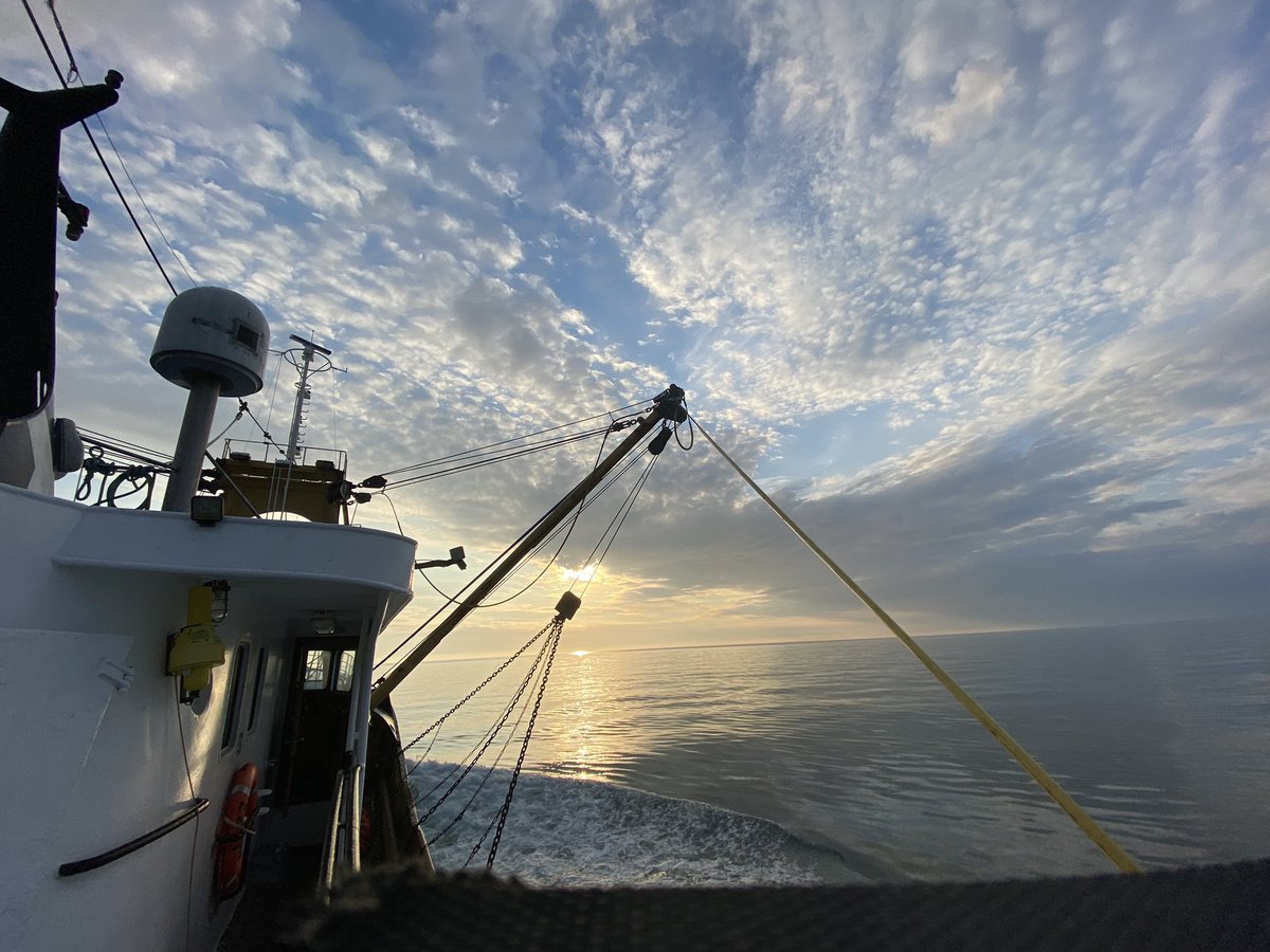 Another cracking Mornin ☀️⚓️🐟 @BrixhamLovell @BBCSpotlight @BBCCountryfile @carolkirkwood @EmilySWood @Brixham @Brixhamfishmkt #moodysky @HomewardBound16 @Spinlock_HQ @Girlyfishmonger @crazyfishlady76 @Vixbrix #summer #nofilterneeded 🏴󠁧󠁢󠁥󠁮󠁧󠁿🐟⚓️💕