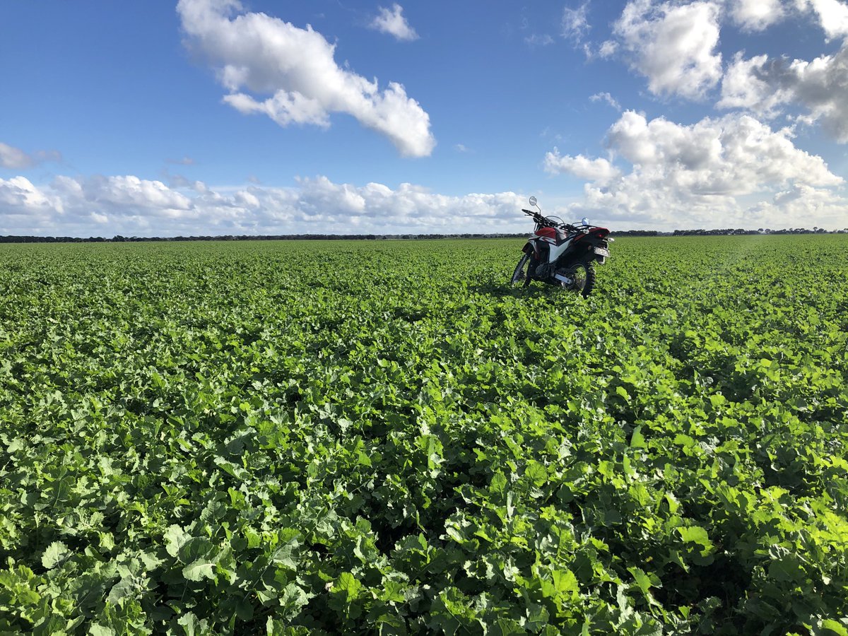 James Heffernan tweet media