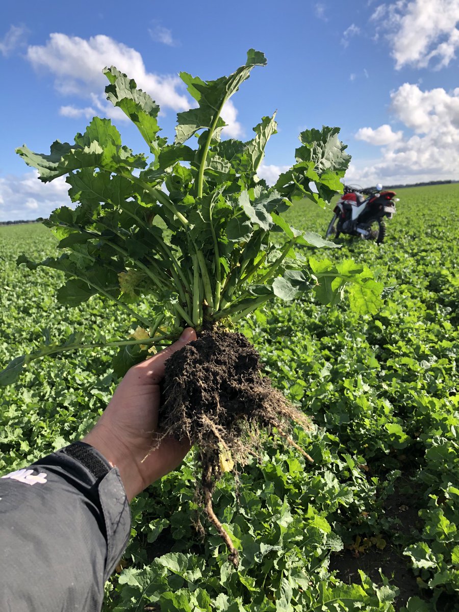 James Heffernan tweet media