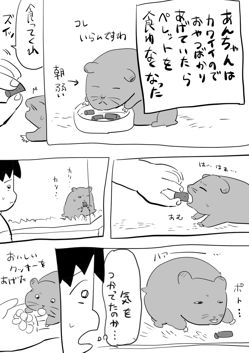 #逆襲の安納 