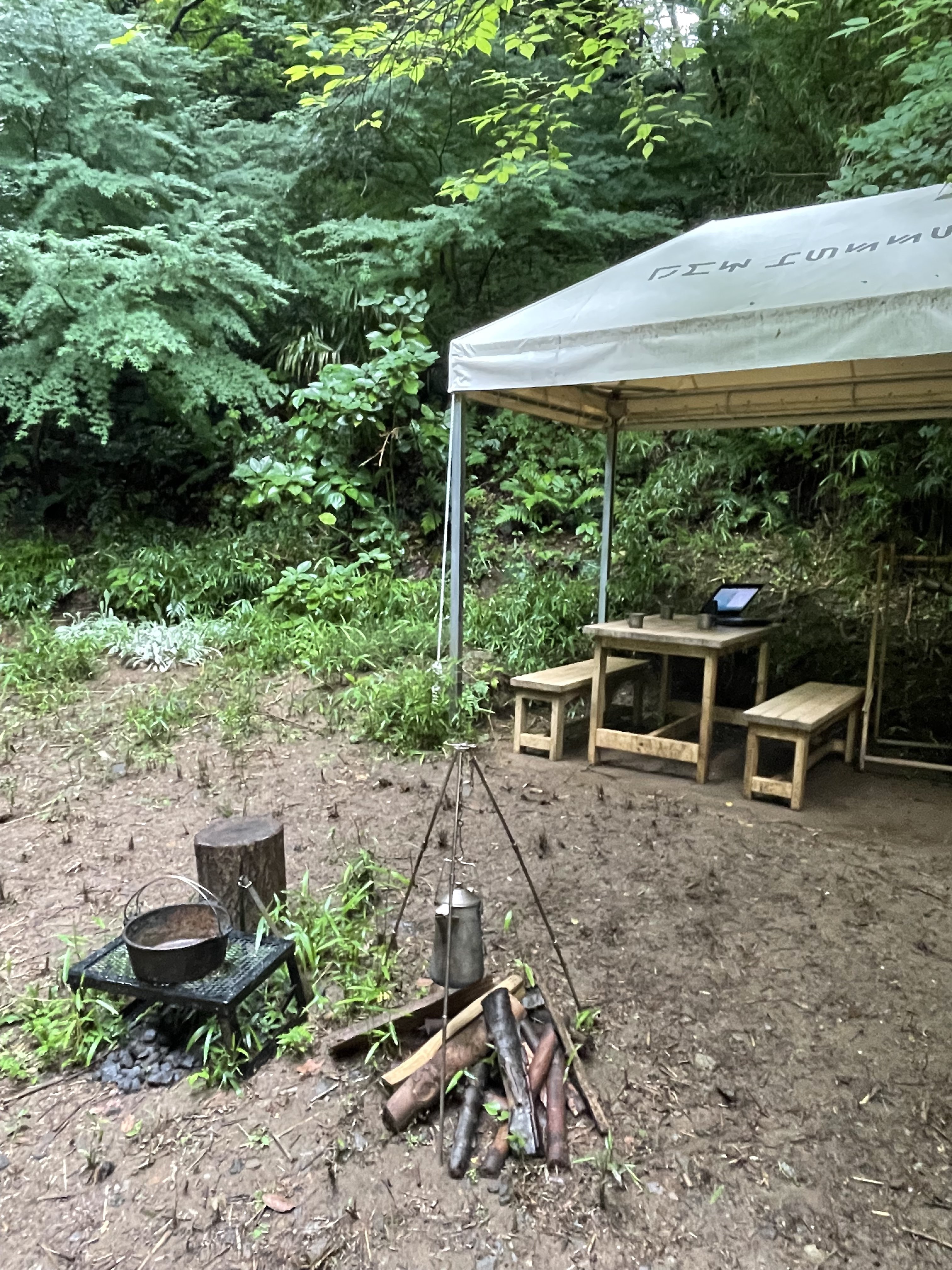 Nana ｵｳﾄﾞｩﾝﾏｴｽﾄﾗ ポケモンのネイチャーアドベンチャー Pokemon Wonder が正式発表されました これから 一足お先に体験に行ってきます ポケモン Pokemonwonder T Co Mdyqo01kxv Twitter